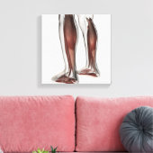 Anatomie van de mannetjes, voorzijde 5 canvas afdruk (Insitu (Woonkamer))
