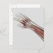 Anatomie van de menselijke arm en de hand briefkaart (Voorkant / Achterkant)
