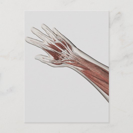 Anatomie van de menselijke arm en de hand briefkaart (Voorkant)