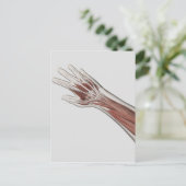 Anatomie van de menselijke arm en de hand briefkaart (Staand voorkant)