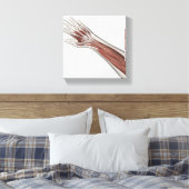 Anatomie van de menselijke arm en de hand canvas afdruk (Insitu (Slaapkamer))