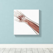 Anatomie van de menselijke arm en de hand canvas afdruk (Insitu (Houten vloer))