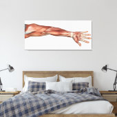 Anatomie van de menselijke armen, Uitzicht aan de  Canvas Afdruk (Insitu (Slaapkamer))