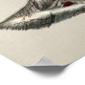 Anatomie van de menselijke arterie  afdrukken poster (Hoek)