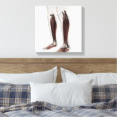 Anatomie van de menselijke benen, voorzijde 6 canvas afdruk (Insitu (Slaapkamer))