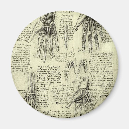 Anatomie van de menselijke hand door Leonardo da V Magneet (Voorkant)