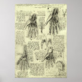 Anatomie van de menselijke hand door Leonardo da V Poster (Voorkant)