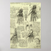 Anatomie van de menselijke hand door Leonardo da V Poster (Voorkant)