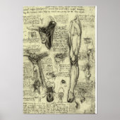 Anatomie van de menselijke larynx been Leonardo da Poster (Voorkant)