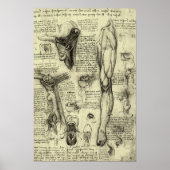 Anatomie van de menselijke larynx been Leonardo da Poster (Voorkant)