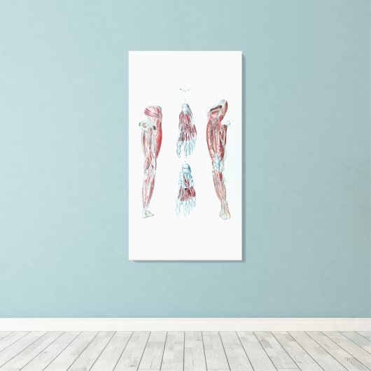 anatomie van de menselijke ledematen en het eten canvas afdruk (Insitu (Houten vloer))