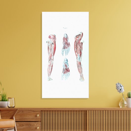  anatomie van de menselijke ledematen en het eten canvas afdruk (Insitu (Woonkamer))