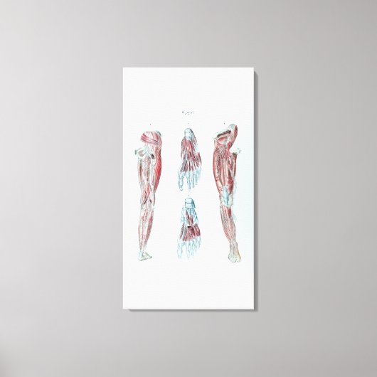 anatomie van de menselijke ledematen en het eten canvas afdruk (Voorkant)