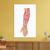 Anatomie van de menselijke moederspieren 1 canvas afdruk (Insitu (Woonkamer))