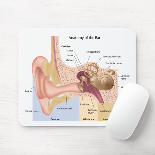 Anatomie van de menselijke oor Mousepad Muismat (Met muis)