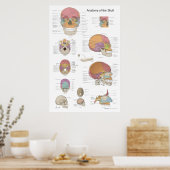 Anatomie van de menselijke schedel 24 x 36 poster (Keuken)