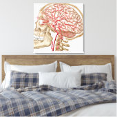 Anatomie van de menselijke schedel, oogbal en slag canvas afdruk (Insitu (Slaapkamer))