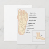 Anatomie van de menselijke voet notitiekaartje (Voorkant / Achterkant)