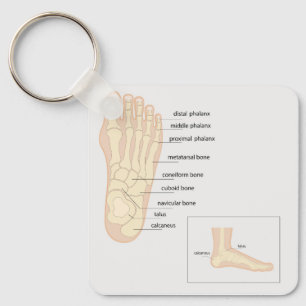 Anatomie van de menselijke voet sleutelhanger