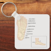 Anatomie van de menselijke voet sleutelhanger (Voorkant)