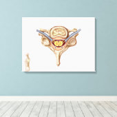 Anatomie van de menselijke wervel canvas afdruk (Insitu (Houten vloer))
