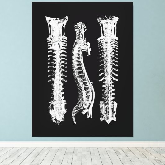 Anatomie van de menselijke wervelkolom Grote Canva Canvas Afdruk (Insitu (Houten vloer))
