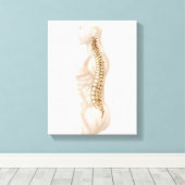 Anatomie van de menselijke wervelkolom, linker zij canvas afdruk (Insitu (Houten vloer))
