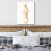 Anatomie van de menselijke wervelkolom, linker zij canvas afdruk (Insitu (Slaapkamer))