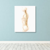 Anatomie van de menselijke wervelkolom, linker zij canvas afdruk (Insitu (Houten vloer))