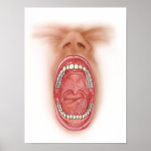 Anatomie van de mond van de mens poster (Voorkant)
