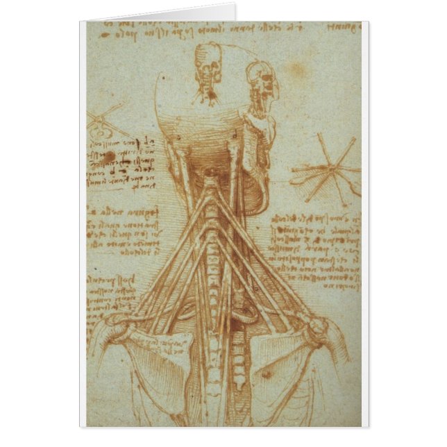 Anatomie van de nek door Leonardo Da Vinci c. 1515 (Voorkant)