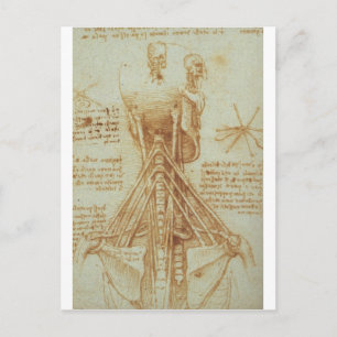 Anatomie van de nek door Leonardo Da Vinci c. 1515 Briefkaart