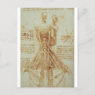 Anatomie van de nek door Leonardo Da Vinci c. 1515 Briefkaart