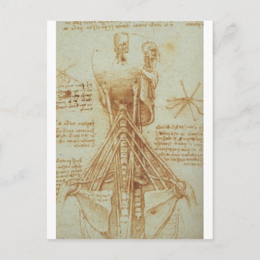 Anatomie van de nek door Leonardo Da Vinci c. 1515 Briefkaart (Voorkant)