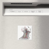 Anatomie van de nek magneet (Insitu (Vaatwasser))