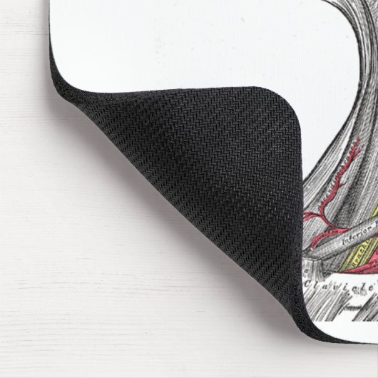 Anatomie van de nek muismat (Hoek)