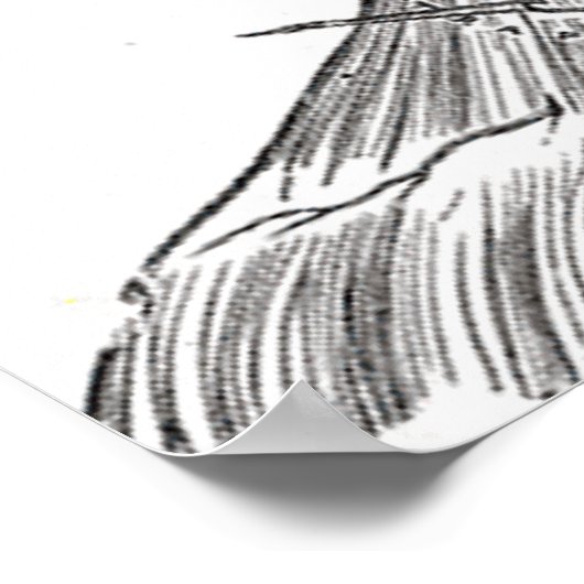 Anatomie van de nekafdruk van het Poster (Hoek)