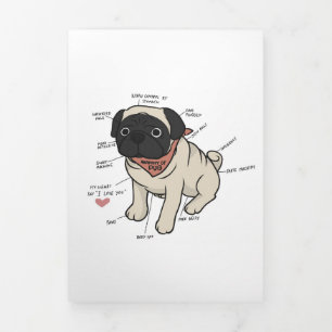 Anatomie van de Pug Dog Chart Drieluik Aankondiging