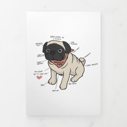 Anatomie van de Pug Dog Chart Drieluik Aankondiging (Cover)