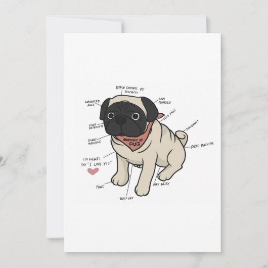 Anatomie van de Pug Dog Chart Feestdagenkaart (Voorkant)