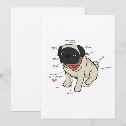 Anatomie van de Pug Dog Chart Feestdagenkaart (Voorkant / Achterkant)