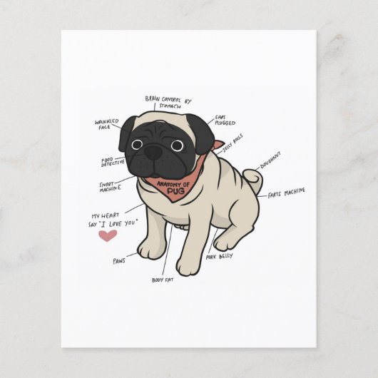 Anatomie van de Pug Dog Chart Flyer (Voorkant)