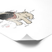Anatomie van de Pug Dog Chart Foto Afdruk (Hoek)