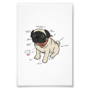Anatomie van de Pug Dog Chart Foto Afdruk