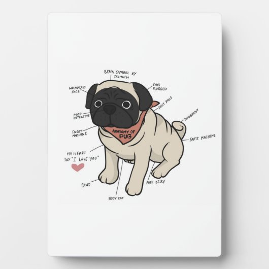 Anatomie van de Pug Dog Chart Fotoplaat (voorkant)