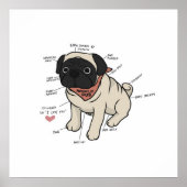 Anatomie van de Pug Dog Chart Poster (Voorkant)