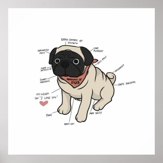 Anatomie van de Pug Dog Chart Poster (Voorkant)