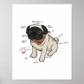 Anatomie van de Pug Dog Chart Poster (Voorkant)