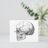 Anatomie van de schedel briefkaart (Staand voorkant)