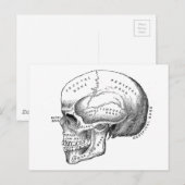 Anatomie van de schedel briefkaart (Voorkant / Achterkant)
